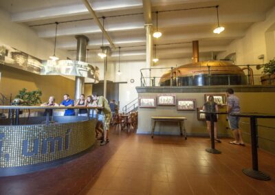 Velké Popovice pivovar prohlídky